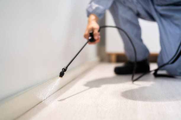 Licensed Mosquito Control service in Covington, OH - Nex Pest Control