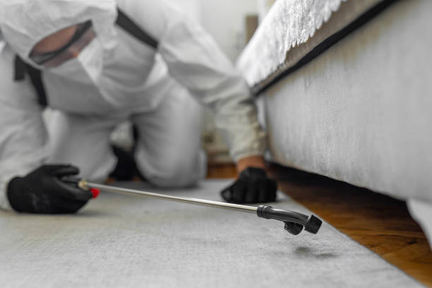 Professional Mosquito Control technician working in Covington, OH