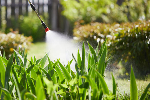24/7 Emergency Mosquito Control experts in Covington, OH